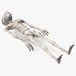 3D Alien Mummy model