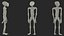 Alien Mummy