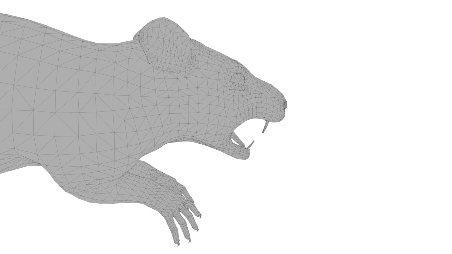 3D Black Rat Model - TurboSquid 2023521