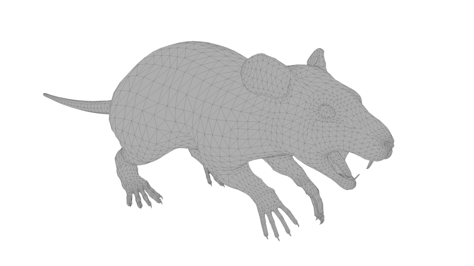 3D Black Rat Model - TurboSquid 2023521