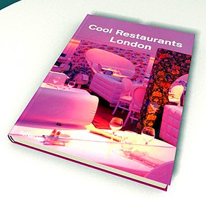 3d model book libro