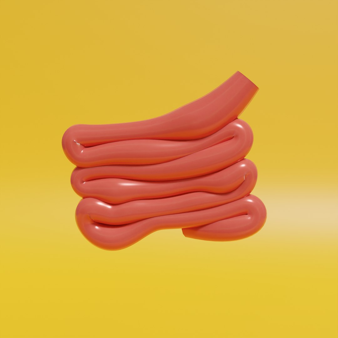 Intestine - stomach 3D model - TurboSquid 2134737