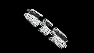 corn 3D CT scan model cut3 decimate 30 percent 3D model