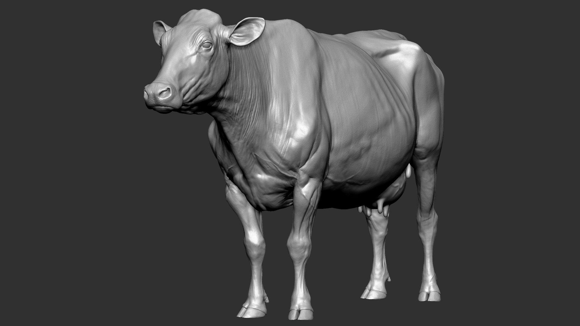 bull head realistic 3D model https://p.turbosquid.com/ts-thumb/7a/SOzZ41/13/59/jpg/1610629356/1920x1080/fit_q87/3cfc3596a1f9cfbca2a0858475075d7fdb57deec/59.jpg
