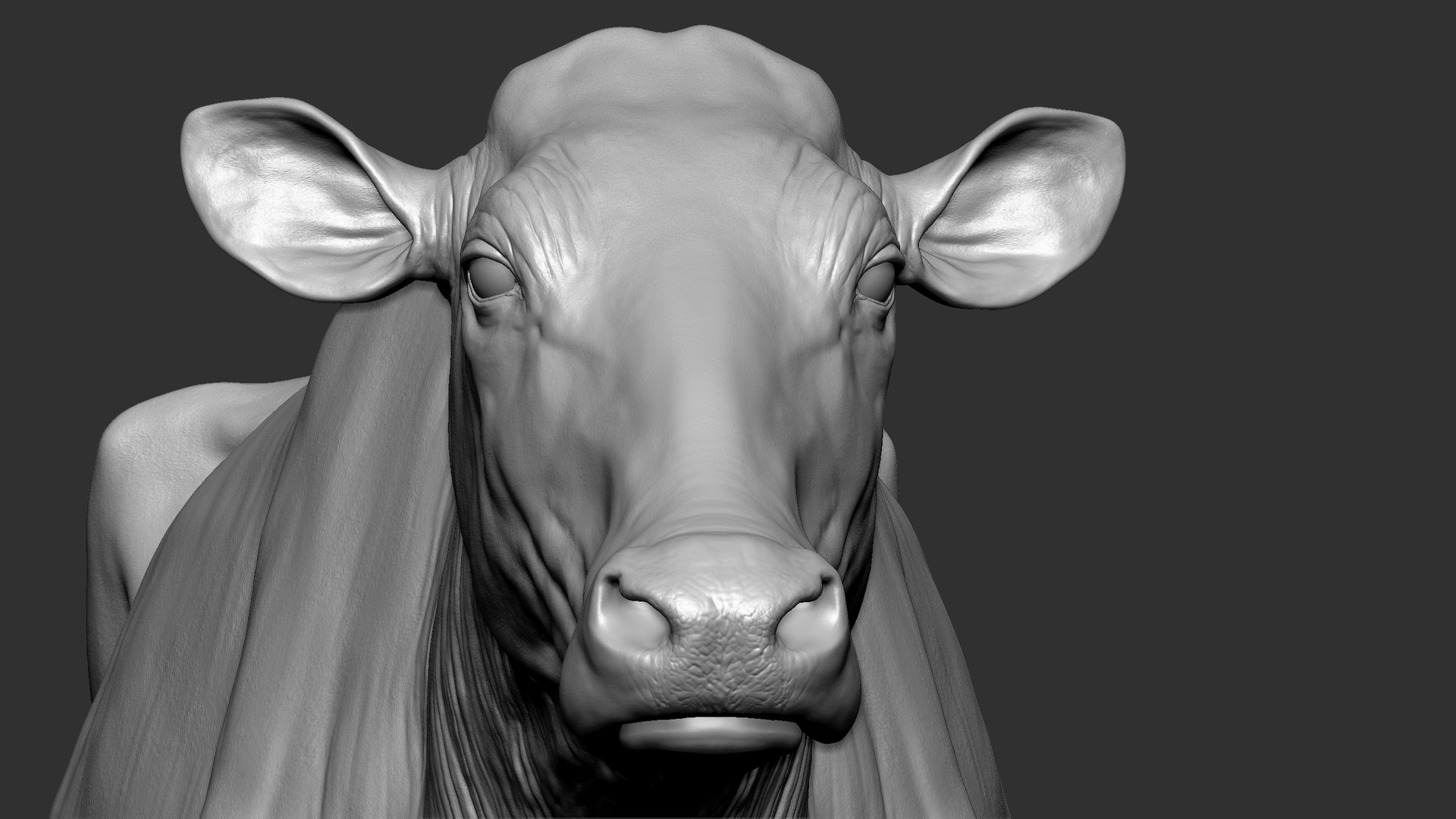 bull head realistic 3D model https://p.turbosquid.com/ts-thumb/7a/SOzZ41/59/54/jpg/1610629355/1920x1080/fit_q87/acd7b5afc24b3af84f85df4271690734c1389a98/54.jpg