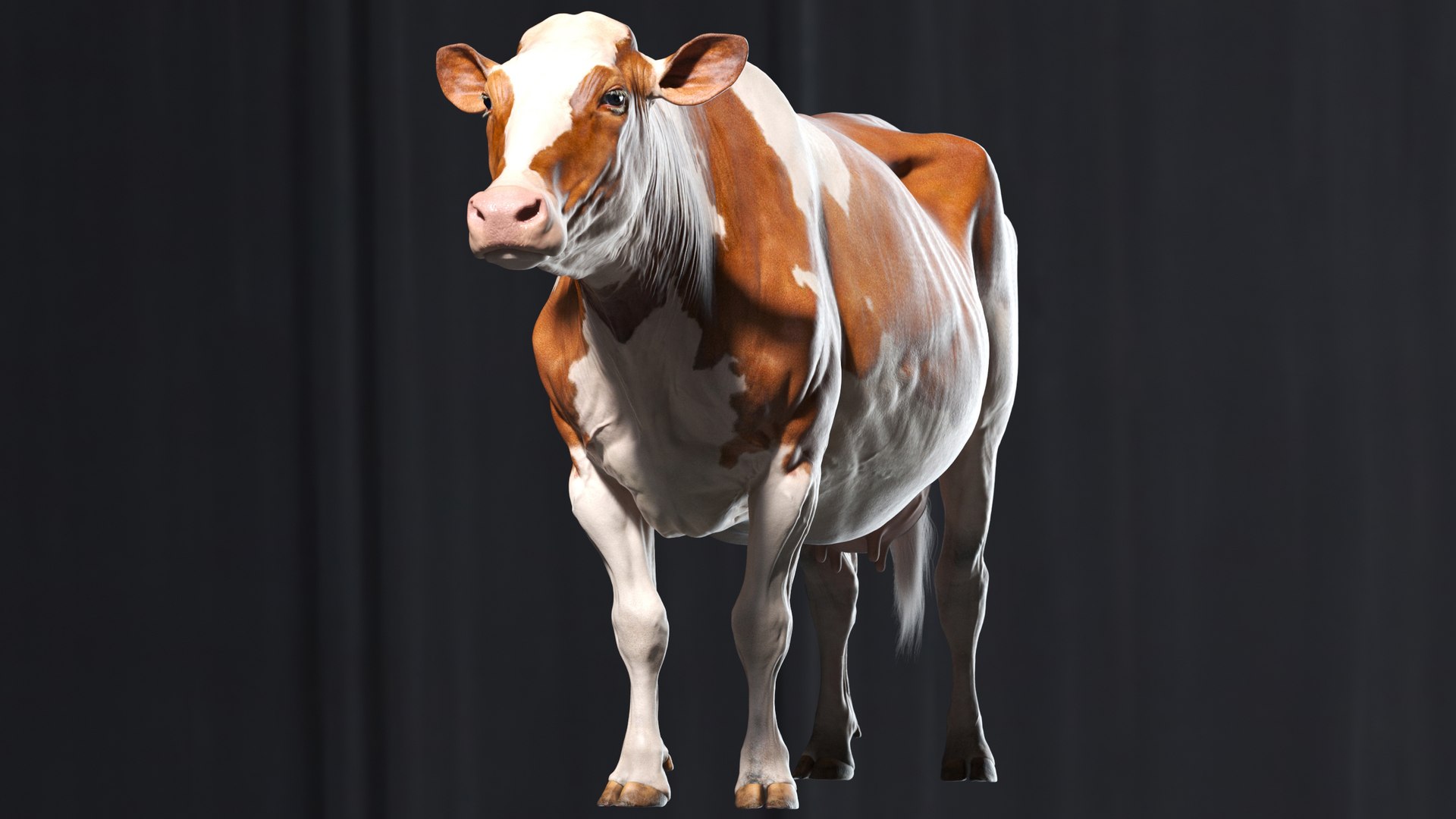 bull head realistic 3D model https://p.turbosquid.com/ts-thumb/7a/SOzZ41/7D/5/jpg/1610629153/1920x1080/fit_q87/39dc9ec6153178bf4ec63bce21426f33f5edfc61/5.jpg