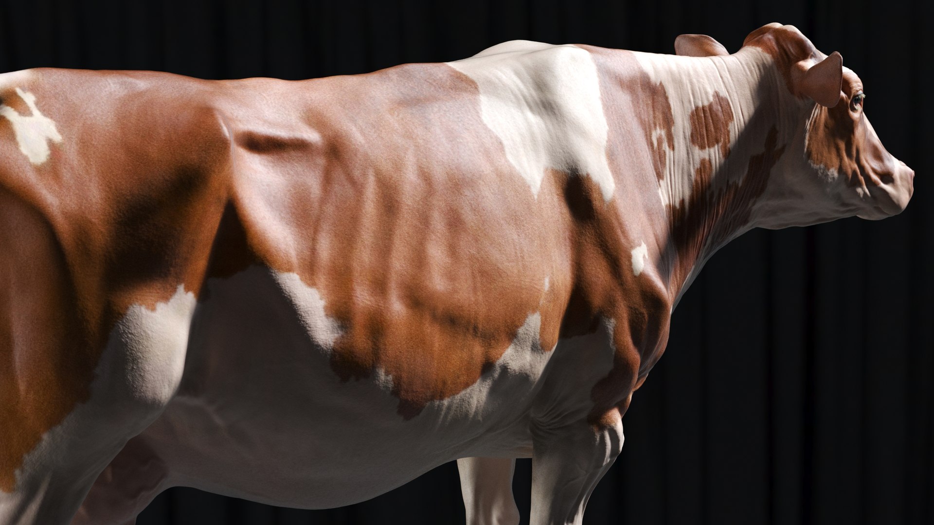 bull head realistic 3D model https://p.turbosquid.com/ts-thumb/7a/SOzZ41/Ec/7/jpg/1610628817/1920x1080/fit_q87/e071fee284d5992890aba93e7e59f8d90731a59a/7.jpg