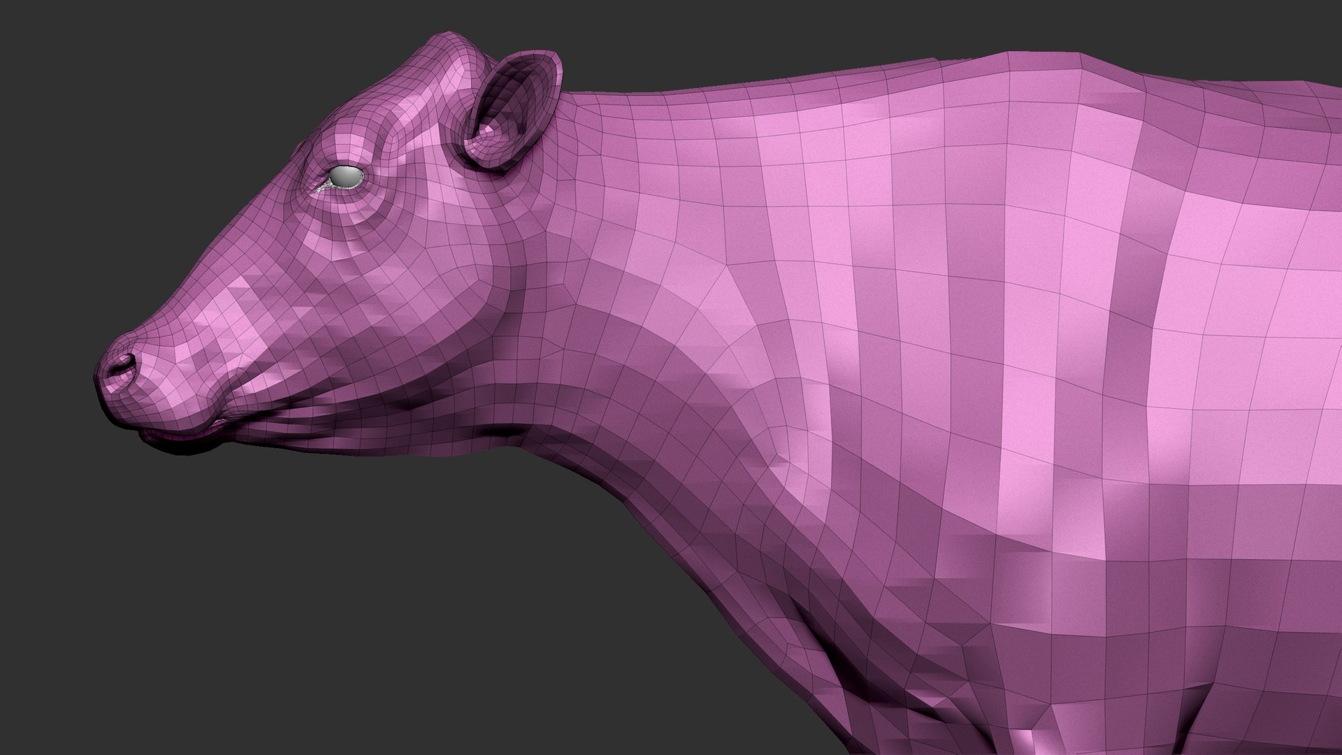 bull head realistic 3D model https://p.turbosquid.com/ts-thumb/7a/SOzZ41/F5/64/jpg/1610629357/1920x1080/fit_q87/775dc5ce3978625661f07b177d3b93c8e0774eb1/64.jpg