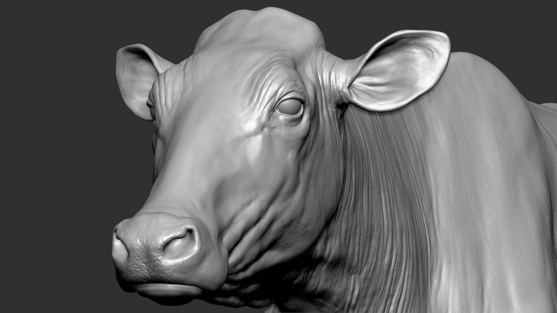 bull head realistic 3D model https://p.turbosquid.com/ts-thumb/7a/SOzZ41/Jq/53/jpg/1610629361/1920x1080/fit_q87/0686968ad065de7ae132fff7fad7d32bcc87cf39/53.jpg