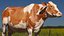 Cow Dairy Brown Realistic Zbrush