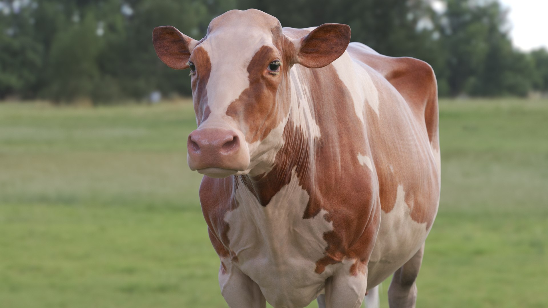 bull head realistic 3D model https://p.turbosquid.com/ts-thumb/7a/SOzZ41/UP/31/jpg/1610628938/1920x1080/fit_q87/bdc80f075d15f0f7708a75a0433cd26730d1a02c/31.jpg