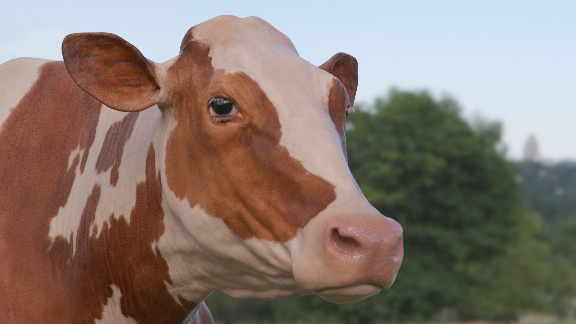 bull head realistic 3D model https://p.turbosquid.com/ts-thumb/7a/SOzZ41/WH/12/jpg/1610628821/1920x1080/fit_q87/d5a9c71b95e118dde33c50ba10e2e438faf5468d/12.jpg