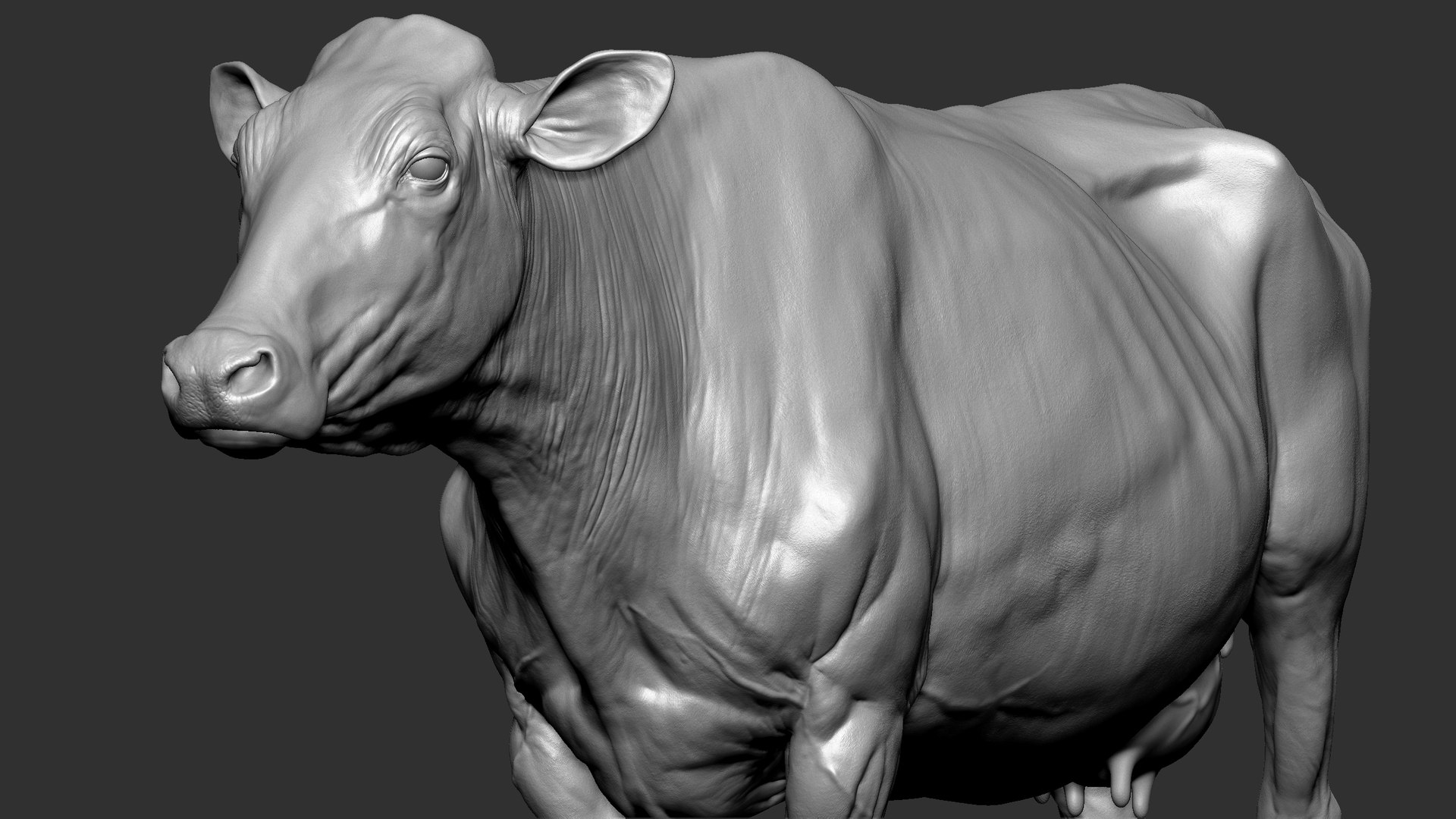 bull head realistic 3D model https://p.turbosquid.com/ts-thumb/7a/SOzZ41/Z0/60/jpg/1610629357/1920x1080/fit_q87/3be06e83070908bfa8b89440eeb49b778d216d8b/60.jpg