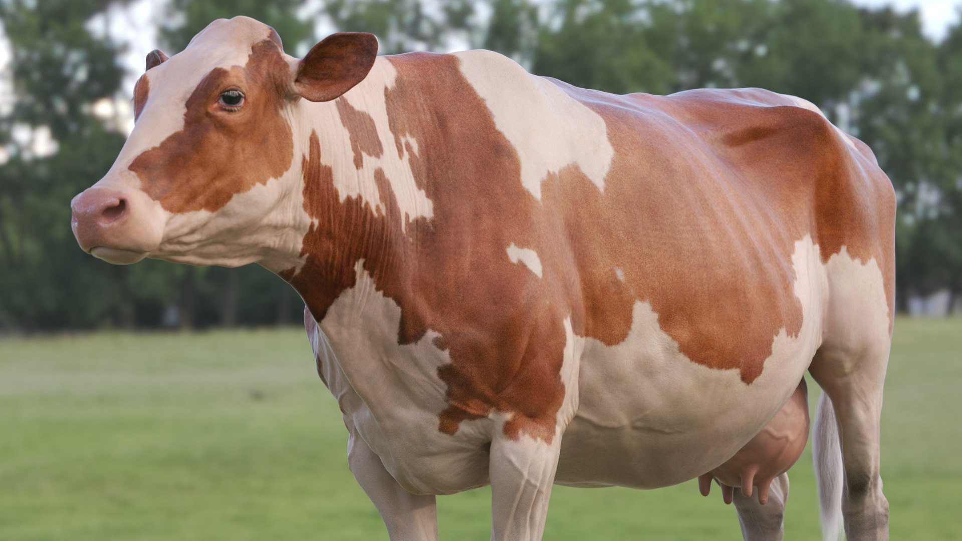 bull head realistic 3D model https://p.turbosquid.com/ts-thumb/7a/SOzZ41/cJ/32/jpg/1610628938/1920x1080/fit_q87/ea67e23fa202b4f8d3adb38c14da2c898ba7cd13/32.jpg