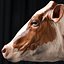 bull head realistic 3D model
