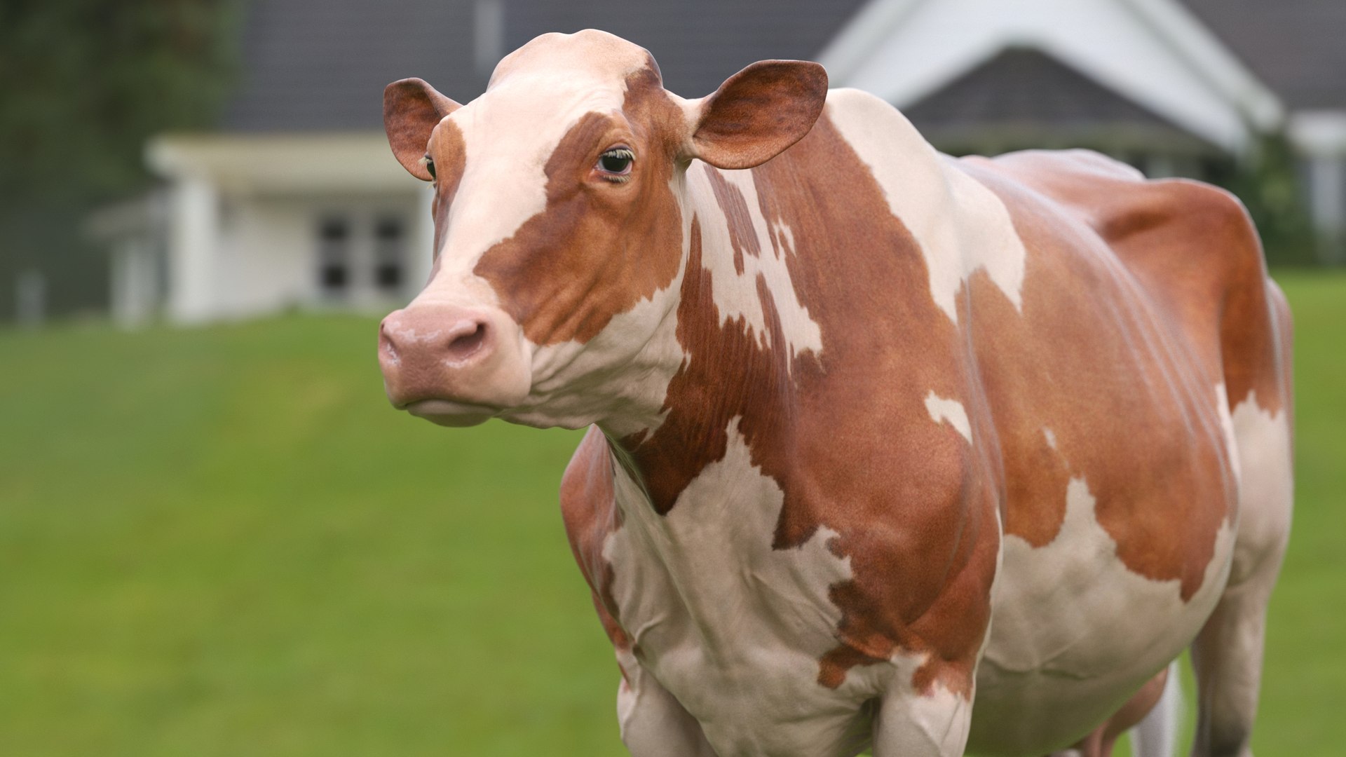 bull head realistic 3D model https://p.turbosquid.com/ts-thumb/7a/SOzZ41/fZ/9/jpg/1610628818/1920x1080/fit_q87/b3e56840e0c13dc1d069de5833047d3b8657abe8/9.jpg