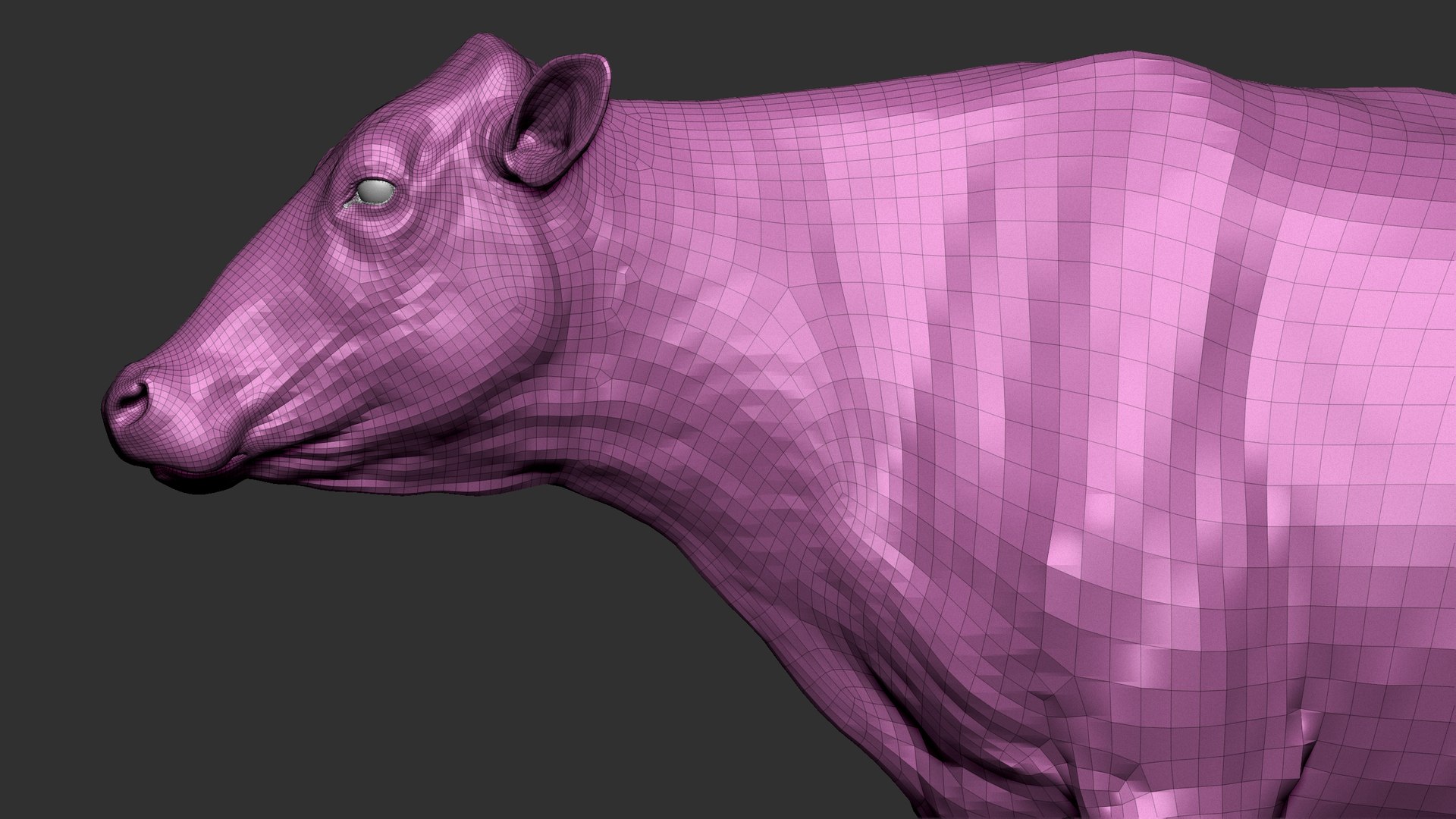 bull head realistic 3D model https://p.turbosquid.com/ts-thumb/7a/SOzZ41/fz/65/jpg/1610629359/1920x1080/fit_q87/2a23a4296b3f15c1464a29e3cfff7b462de7c34e/65.jpg