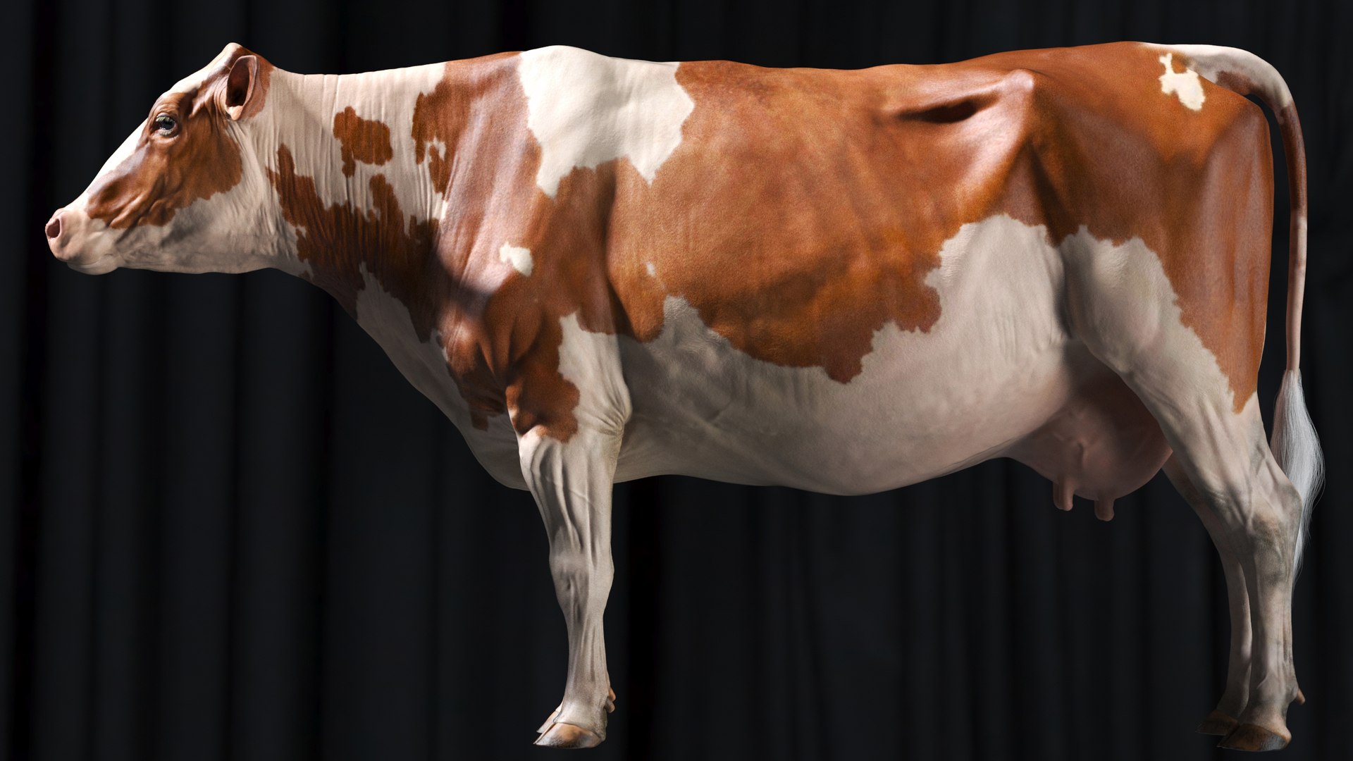bull head realistic 3D model https://p.turbosquid.com/ts-thumb/7a/SOzZ41/oU/4/jpg/1610629154/1920x1080/fit_q87/f17e84e69040a62a451e38fadba71e78992c4ddf/4.jpg