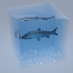 3D Red eyed trout and water