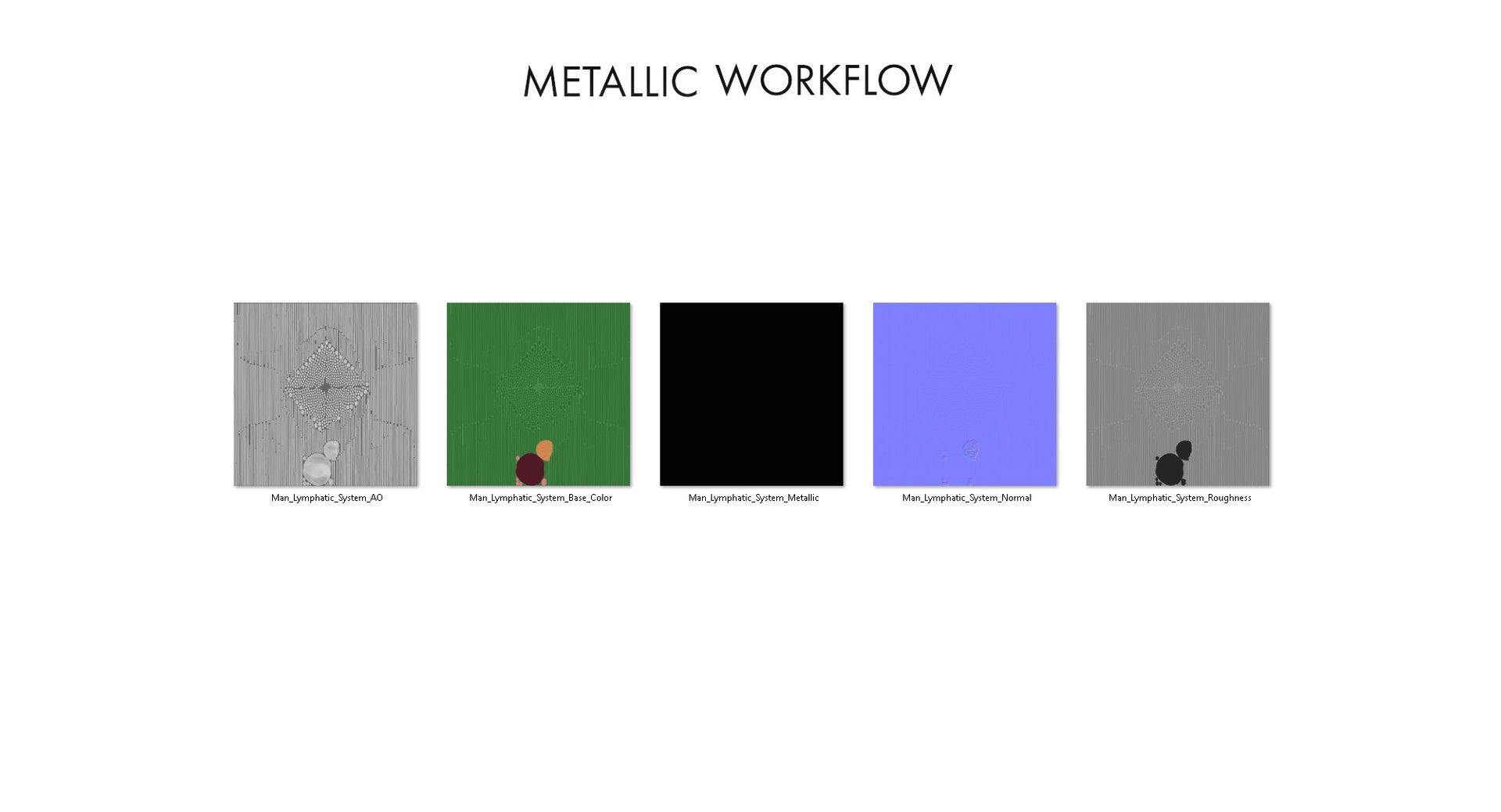 realistic lymphatic model https://p.turbosquid.com/ts-thumb/7a/XD9w1h/Z14TL1N4/textures_metallic/jpg/1559293145/1920x1080/fit_q87/88dd7a9f1d65e6bc47834c3f50694b7a1e953b7e/textures_metallic.jpg
