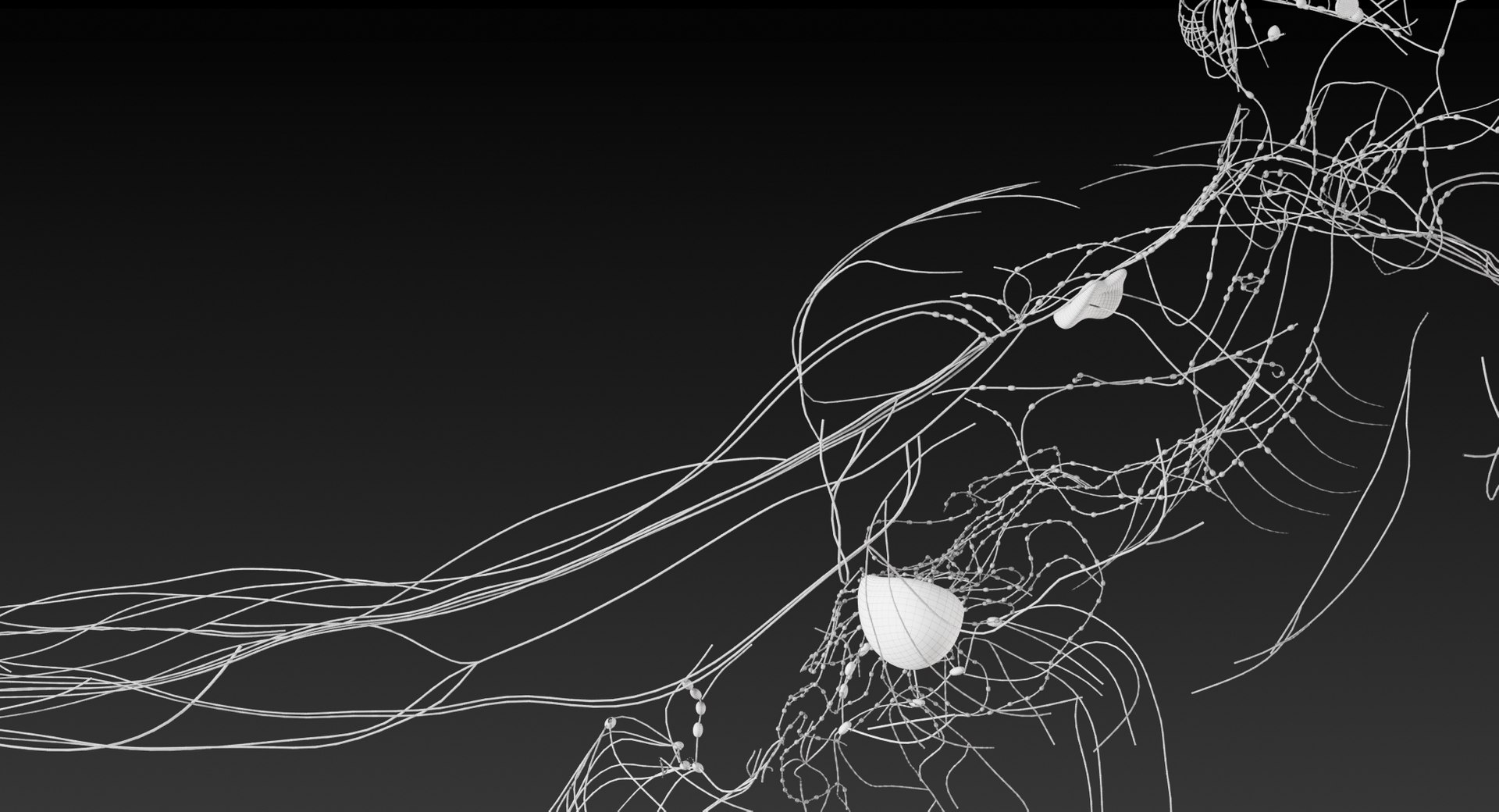 realistic lymphatic model https://p.turbosquid.com/ts-thumb/7a/XD9w1h/bfetWGS7/_view16/jpg/1559293127/1920x1080/fit_q87/aadd15626a4ce93379595cc179f46e457c141797/_view16.jpg