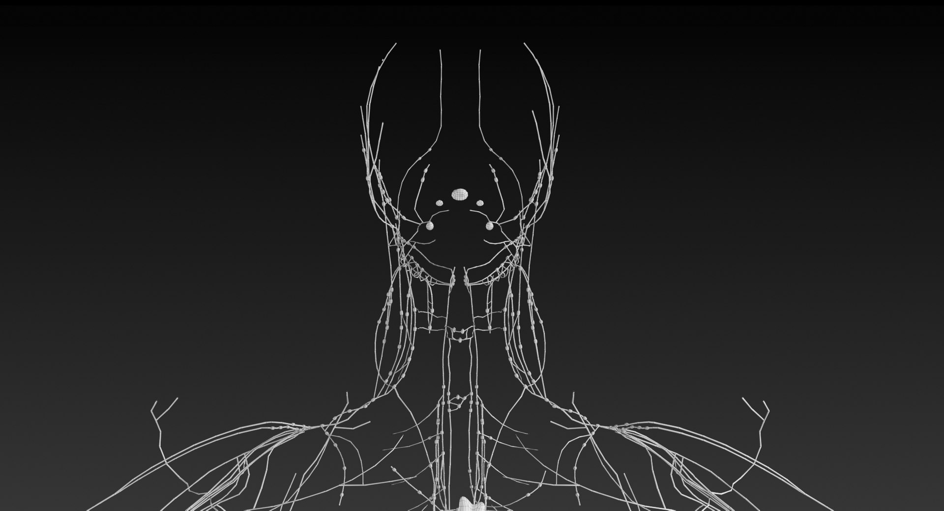 realistic lymphatic model https://p.turbosquid.com/ts-thumb/7a/XD9w1h/pIzz0Fxc/_view01/jpg/1559293076/1920x1080/fit_q87/7fedc6f1f830ddfa73042eb33a5b7e328560ff3b/_view01.jpg