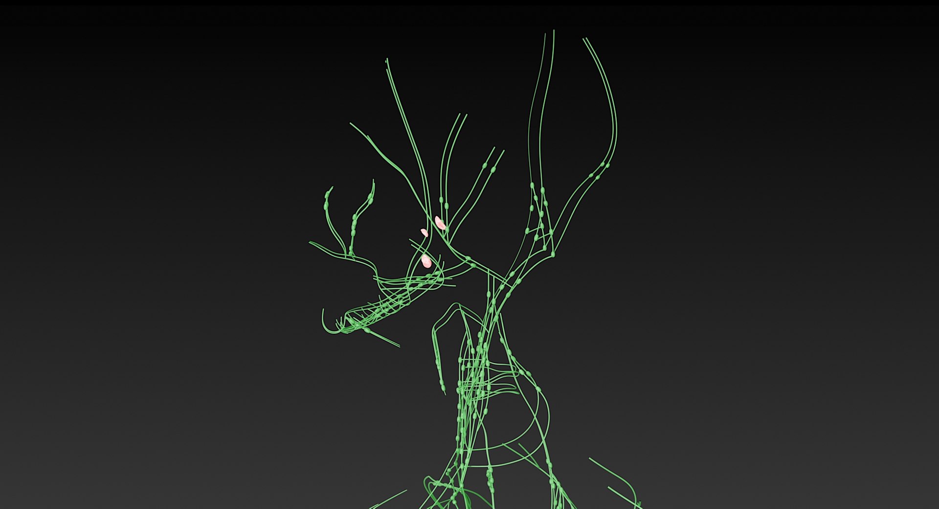 realistic lymphatic model https://p.turbosquid.com/ts-thumb/7a/XD9w1h/yto4qF0D/_view02/jpg/1559292804/1920x1080/fit_q87/c44ba351260b81f7be9781797c139138c2f21f14/_view02.jpg