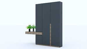 modern entrace shelving model