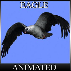 Eagle der Adler