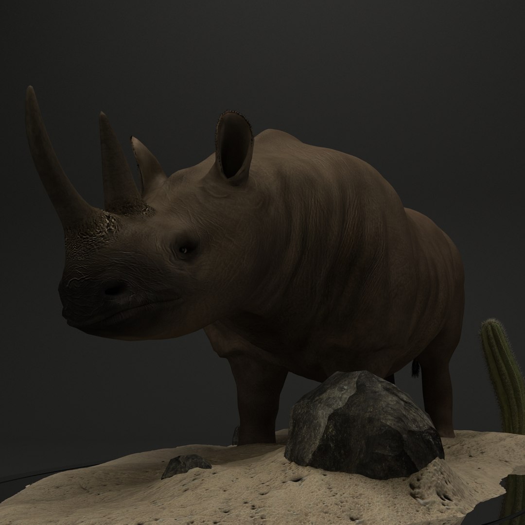 rhino rhinoceros 3d model https://p.turbosquid.com/ts-thumb/7a/iFioBL/FK1OtKl2/solid7/jpg/1313524154/1920x1080/fit_q87/57ae086e34f841f18046b3b9b06d889892644ed9/solid7.jpg