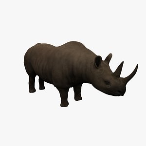 rhino rhinoceros 3d model
