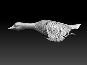3D duck goose bird model