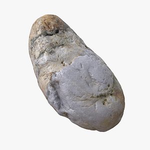 3D Sea Shore Stone 16