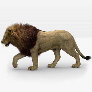 photo realistic lion 3 3D