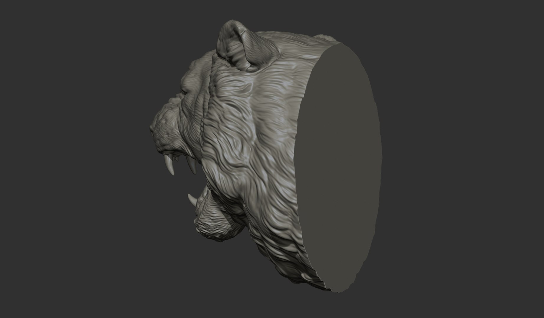 Tiger grin roar 3D model https://p.turbosquid.com/ts-thumb/7b/Ca3yz0/M4/37/jpg/1634657343/1920x1080/fit_q87/fb26f6b69fcbde997296e26484b477dea6c0b51b/37.jpg