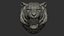 Rugido de sorriso de tigre