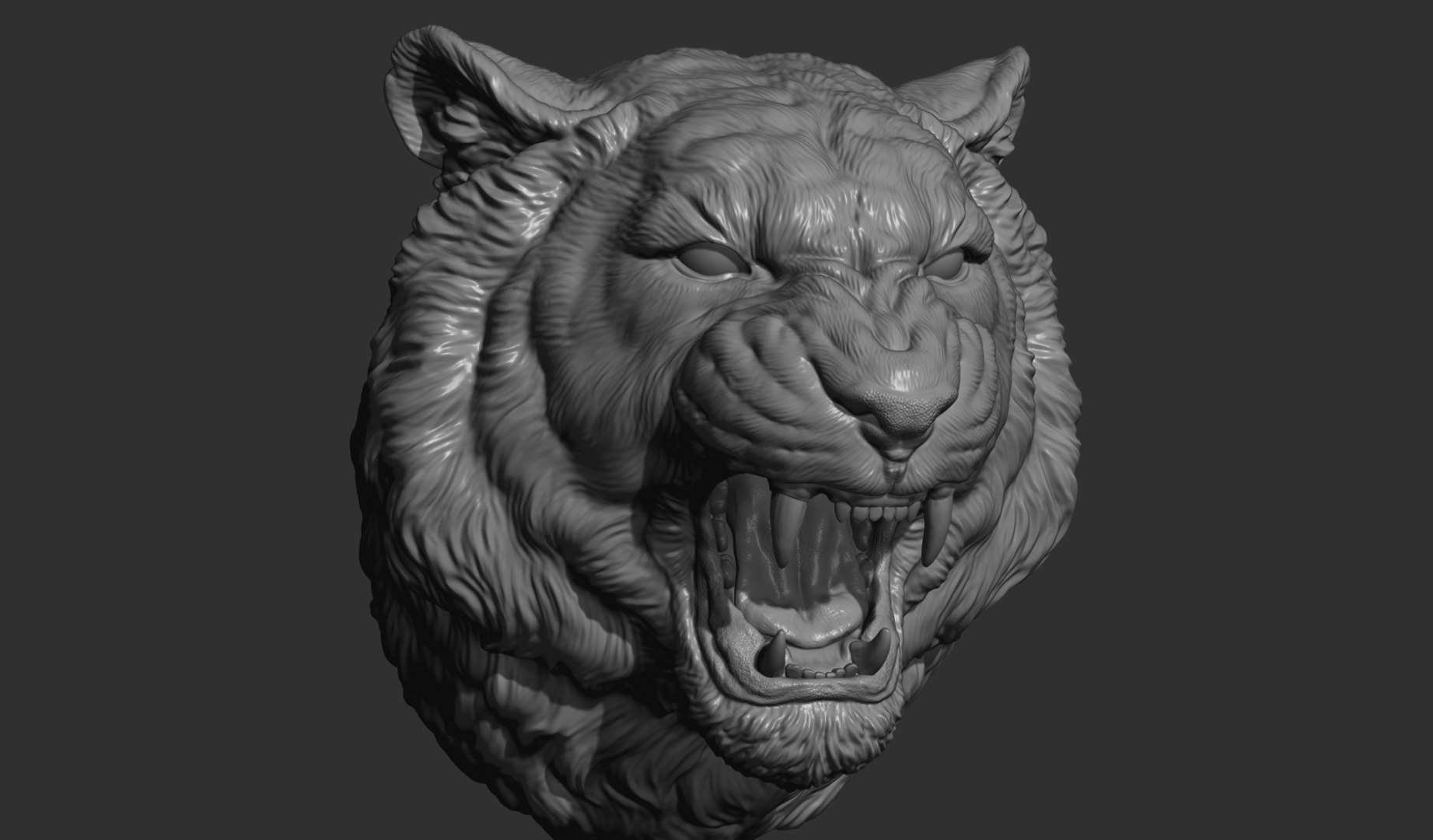 Tiger grin roar 3D model https://p.turbosquid.com/ts-thumb/7b/Ca3yz0/bL/8/jpg/1634657343/1920x1080/fit_q87/c62377704bc390f041e5fc8af85d8f54227ad09d/8.jpg