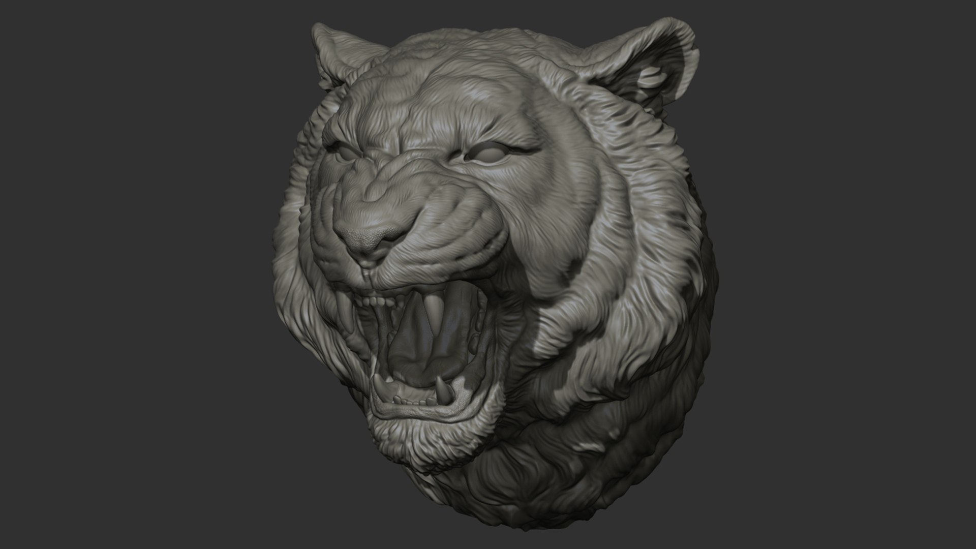 Tiger grin roar 3D model https://p.turbosquid.com/ts-thumb/7b/Ca3yz0/nG/31/jpg/1634657347/1920x1080/fit_q87/756cb5565209017ca4af3f286efc6a3cc6d8a451/31.jpg