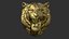 Rugido de sorriso de tigre