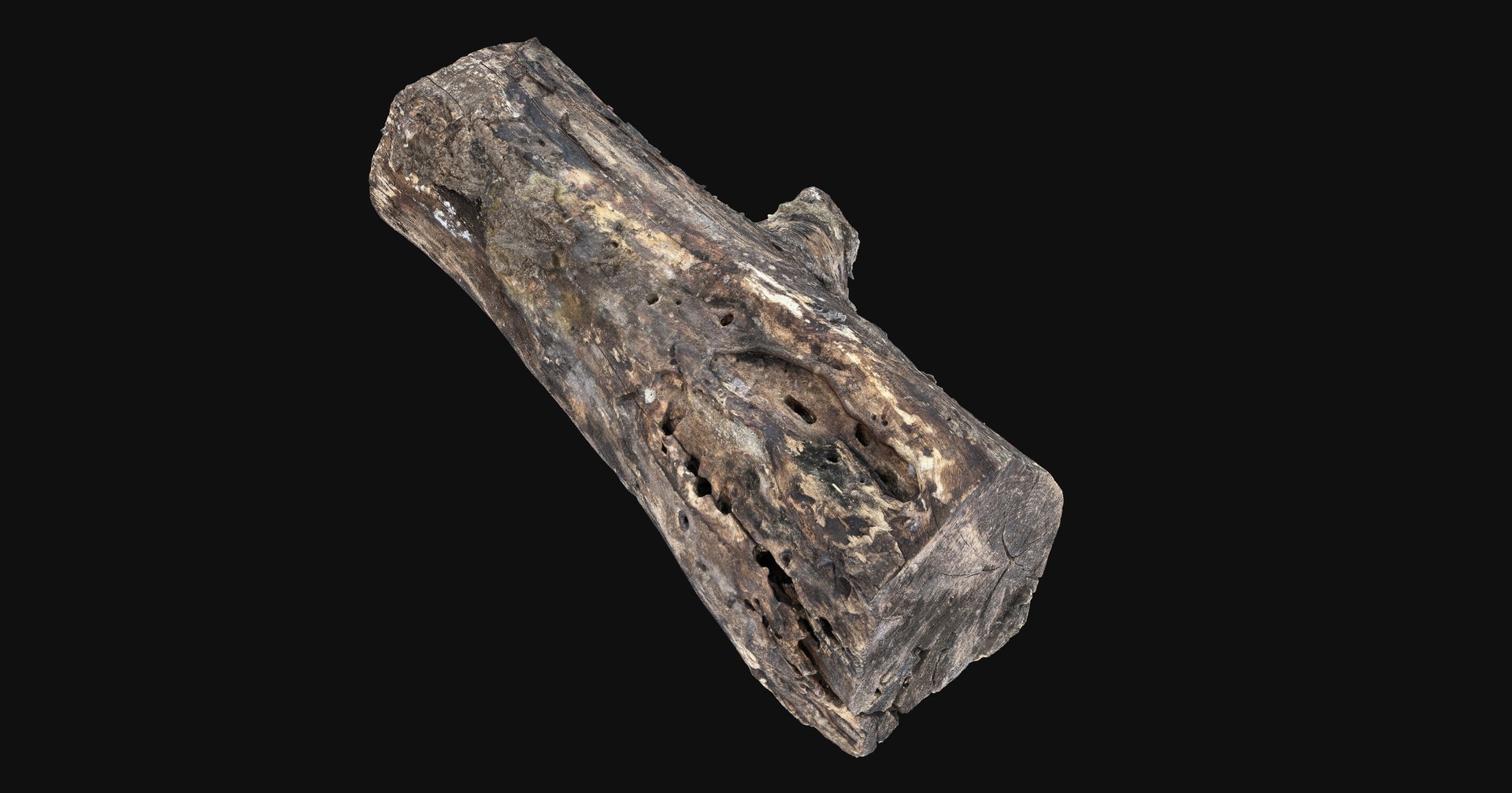 3D model Tree trunk 3d scan highpoly https://p.turbosquid.com/ts-thumb/7b/GBe8nW/kV/scr13/jpg/1760343991/1920x1080/fit_q87/47606a6f374275d2eeb906b9b83dec7b5b4e8059/scr13.jpg
