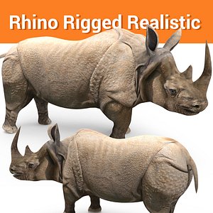 realistic rhino rigged 3D