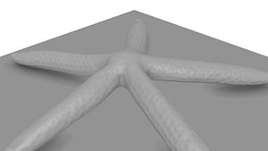 blender sea star