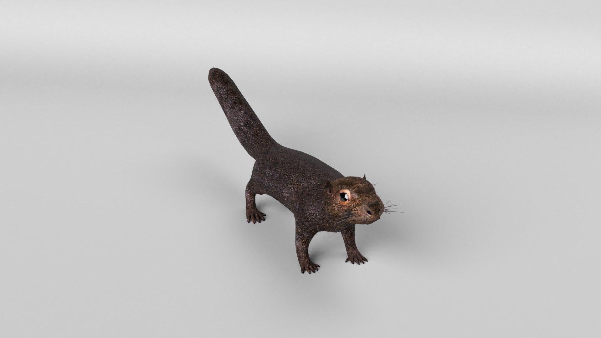 animal nature squirrel model https://p.turbosquid.com/ts-thumb/7b/TsibTQ/23HyNWDo/squirrel_0012/jpg/1603648740/1920x1080/fit_q87/df8bb00eb45ea972deafd64476b9057ed813ea73/squirrel_0012.jpg