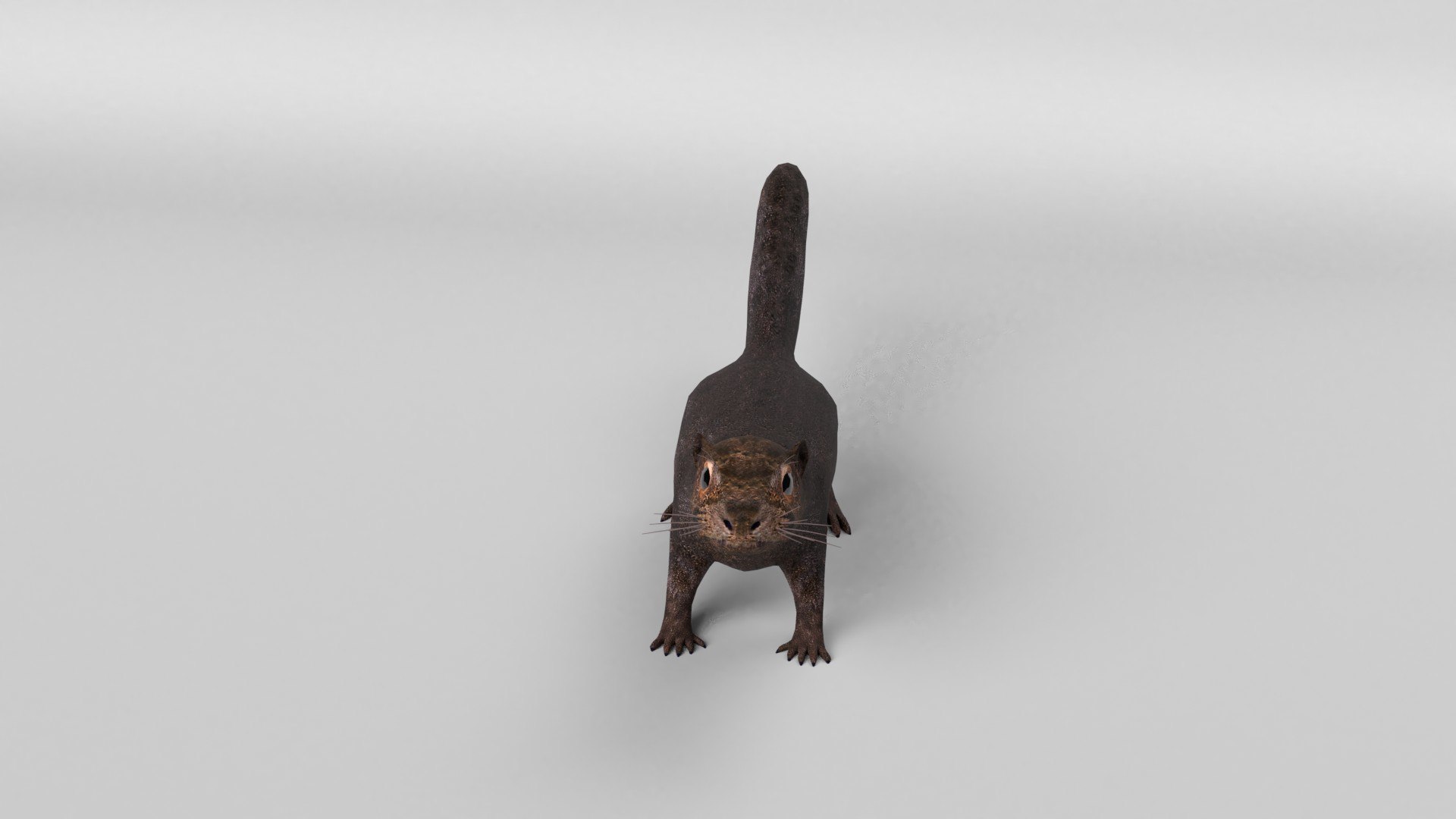 animal nature squirrel model https://p.turbosquid.com/ts-thumb/7b/TsibTQ/5xPqn7c0/squirrel_0010/jpg/1603648739/1920x1080/fit_q87/0d7c86170ecba950ae2eda47d63617e659bc6ba5/squirrel_0010.jpg