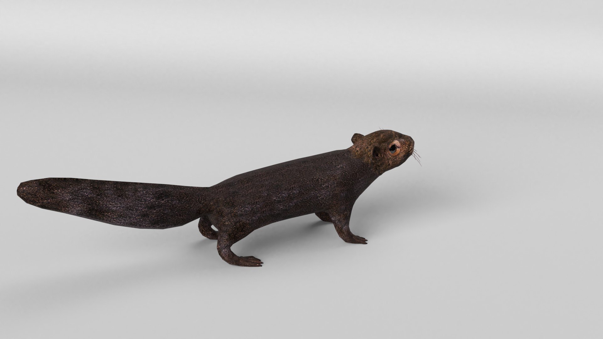 animal nature squirrel model https://p.turbosquid.com/ts-thumb/7b/TsibTQ/7ckdRTXo/squirrel_0004/jpg/1603648738/1920x1080/fit_q87/facee3cac6556629817de7f4018b2c82b3fc733b/squirrel_0004.jpg