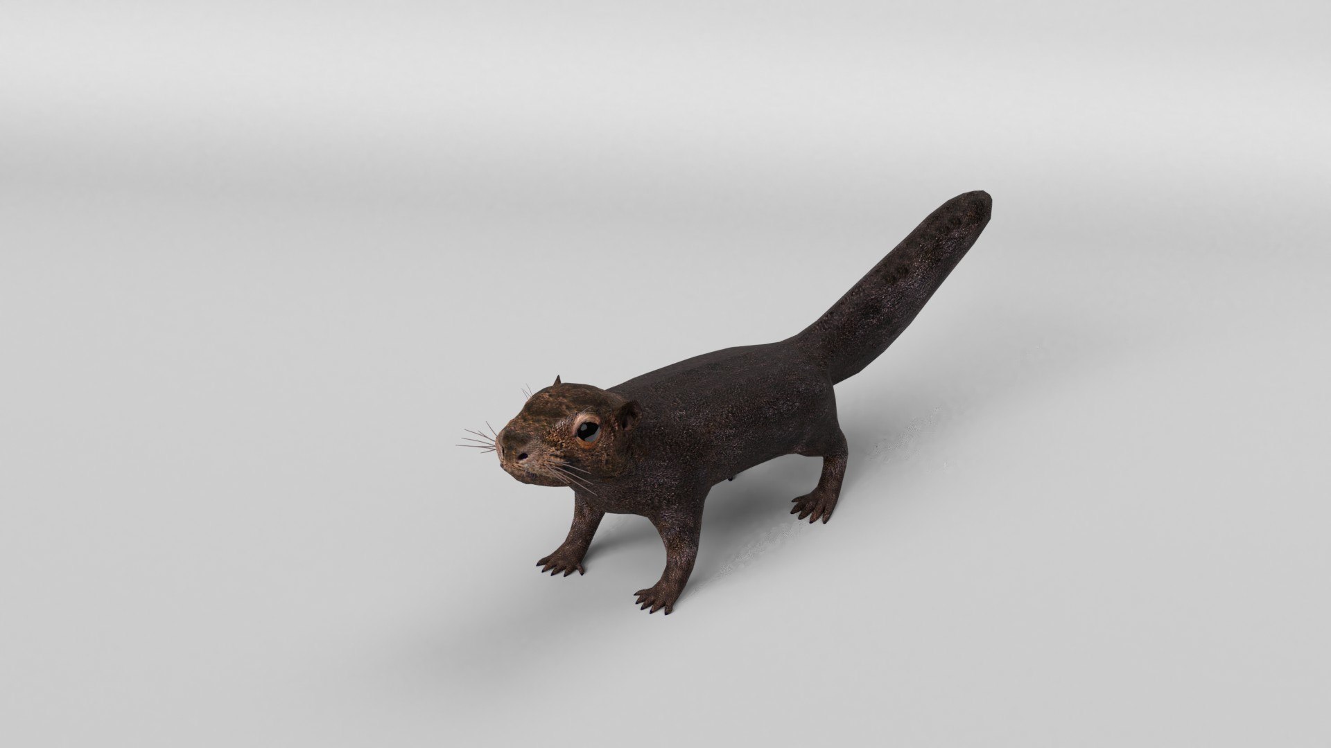 animal nature squirrel model https://p.turbosquid.com/ts-thumb/7b/TsibTQ/Kh5zJWHD/squirrel_0009/jpg/1603648739/1920x1080/fit_q87/fdedf73e520e6f613a67a37f8caaa8d5a5ea112c/squirrel_0009.jpg