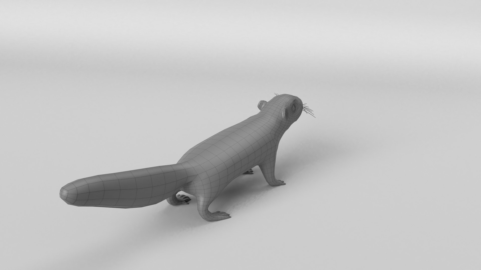 animal nature squirrel model https://p.turbosquid.com/ts-thumb/7b/TsibTQ/NapOzgIq/squirrel_w0002/jpg/1603648740/1920x1080/fit_q87/b09106f5d7ba6a6aa468bd367b6043a9d83745c6/squirrel_w0002.jpg