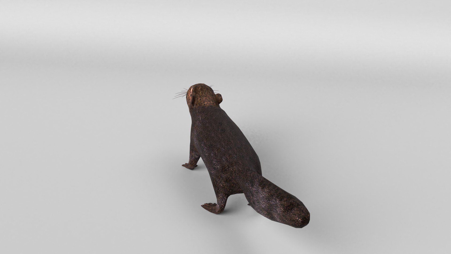 animal nature squirrel model https://p.turbosquid.com/ts-thumb/7b/TsibTQ/kBhLCSc1/squirrel_0006/jpg/1603648738/1920x1080/fit_q87/209f1f3e8ee391cc65fbbf801abfbd41e84864d3/squirrel_0006.jpg