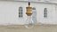 Edison Bulb