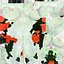 6 Koi Fish Pack animato